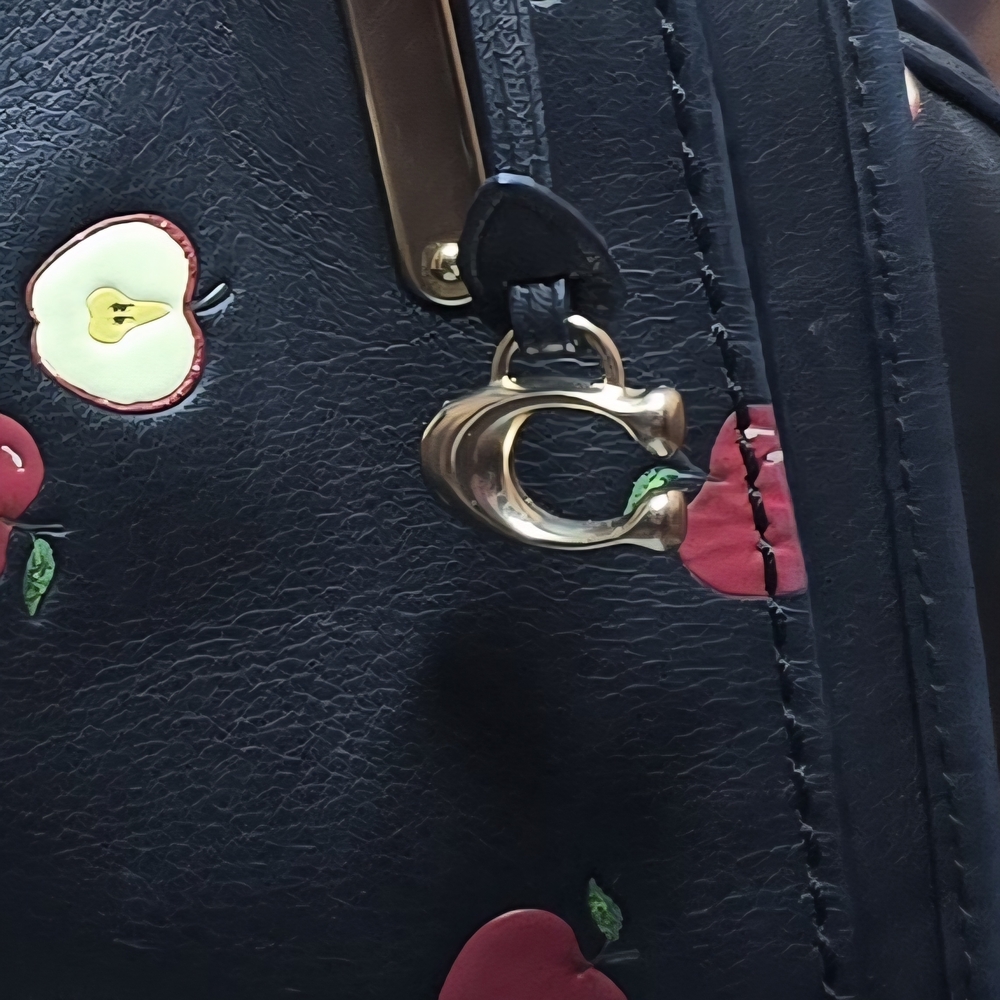 Coach Dreamer 21 Scattered Apple Crossbody Bag -RARE - EUC - Picture 2 of 16